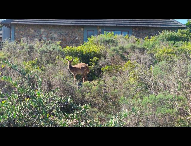 LAND FOR SALE IN NUM NUM CAPE ESTATE